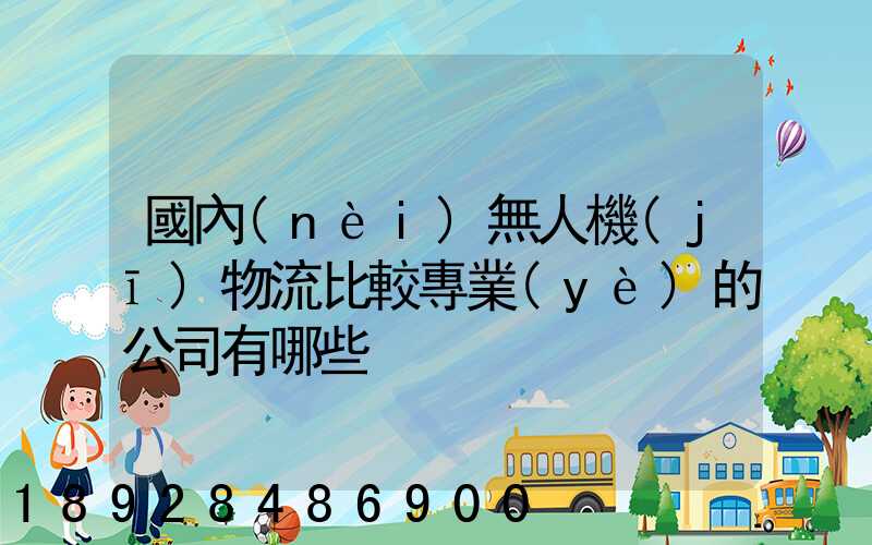 國內(nèi)無人機(jī)物流比較專業(yè)的公司有哪些