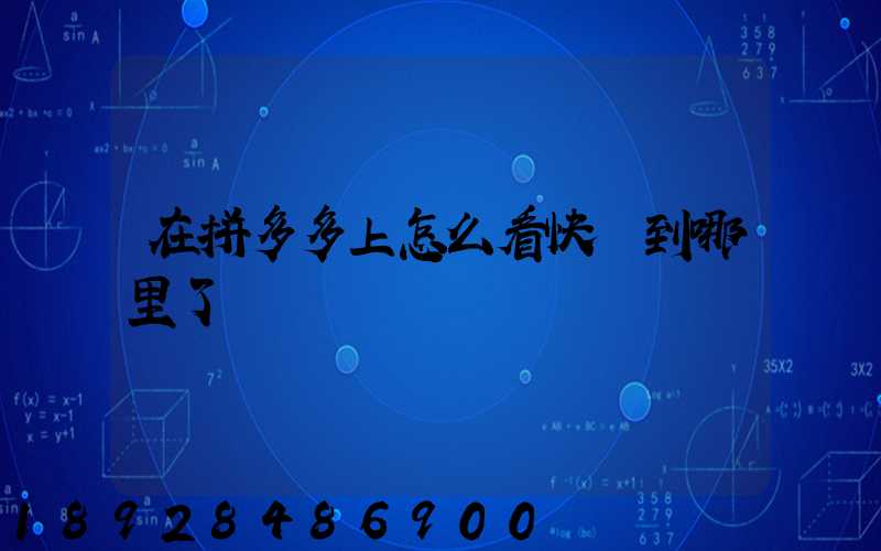 在拼多多上怎么看快遞到哪里了