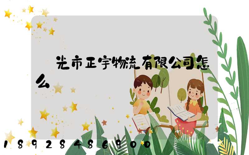 壽光市正宇物流有限公司怎么樣