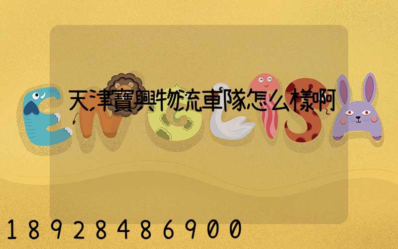 天津寶興物流車隊怎么樣啊