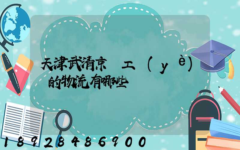 天津武清京濱工業(yè)園的物流有哪些