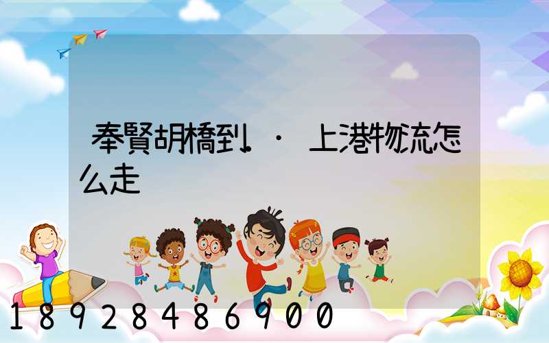 奉賢胡橋到.·上港物流怎么走