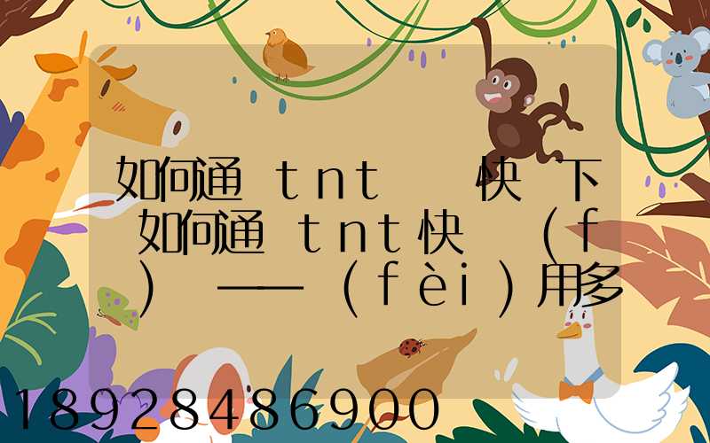 如何通過tnt國際快遞下單如何通過tnt快遞發(fā)貨——費(fèi)用多少