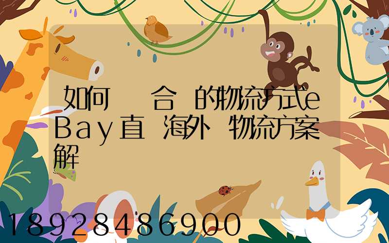 如何選擇合適的物流方式eBay直郵海外倉物流方案詳解