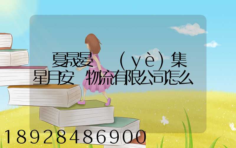 寧夏晟晏實業(yè)集團星月安順物流有限公司怎么樣