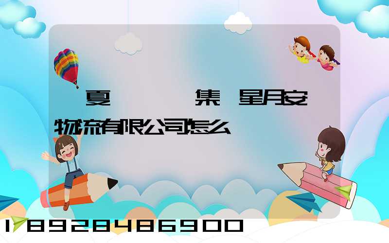 寧夏晟晏實業集團星月安順物流有限公司怎么樣