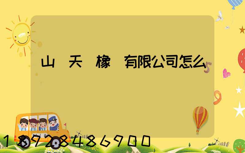 山東天說橡膠有限公司怎么樣