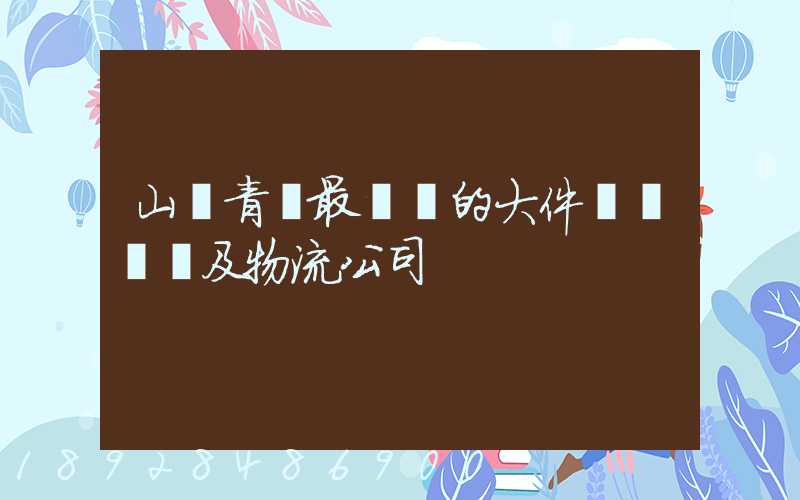 山東青島最專業的大件運輸車隊及物流公司