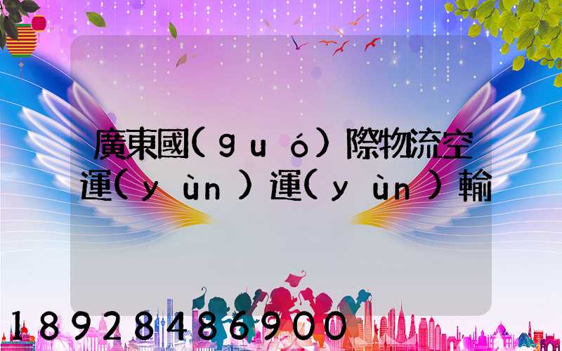廣東國(guó)際物流空運(yùn)運(yùn)輸