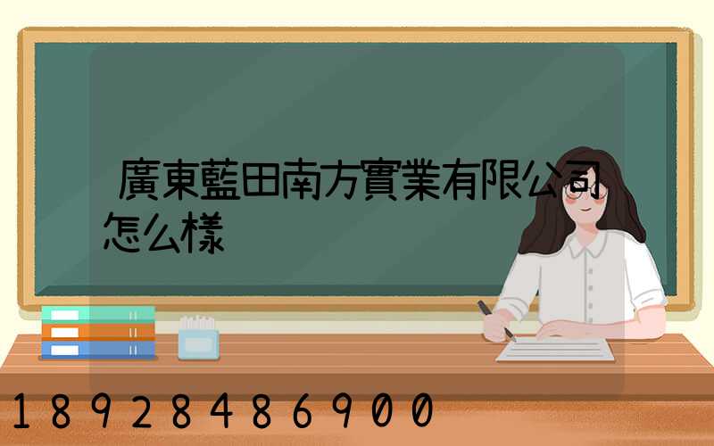 廣東藍田南方實業有限公司怎么樣