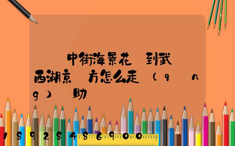 從吳中街海景花園到武漢東西湖京東方怎么走請(qǐng)幫助
