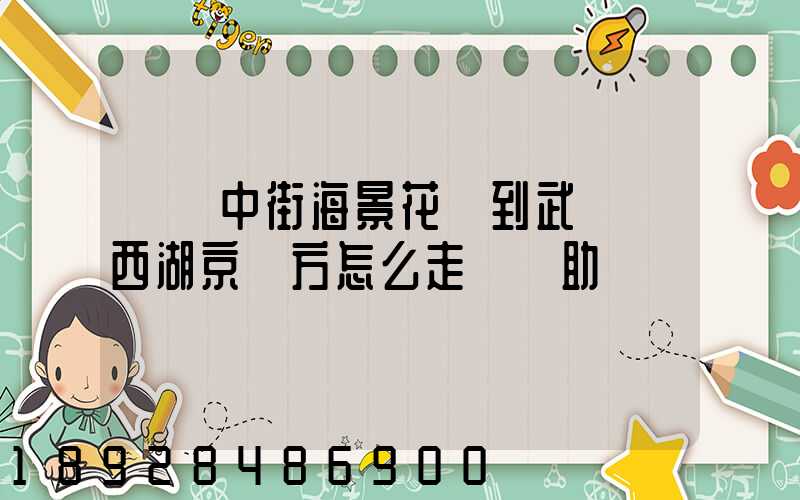 從吳中街海景花園到武漢東西湖京東方怎么走請幫助