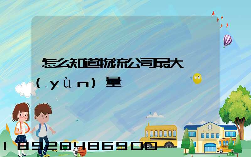 怎么知道物流公司最大貨運(yùn)量