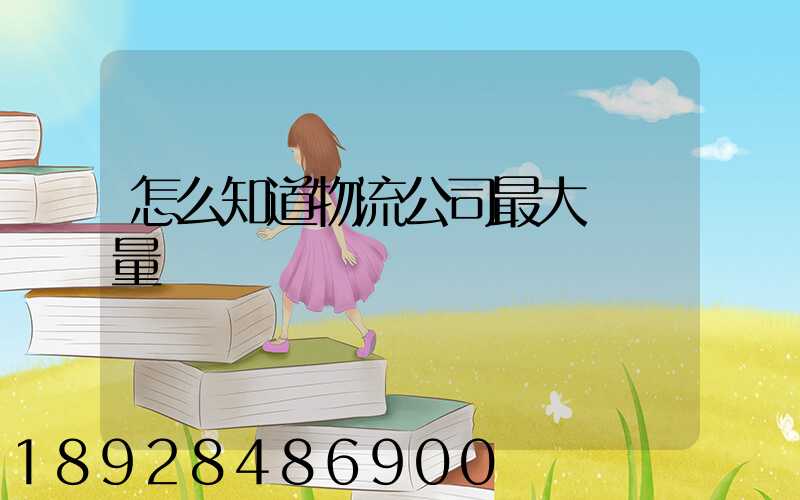 怎么知道物流公司最大貨運量