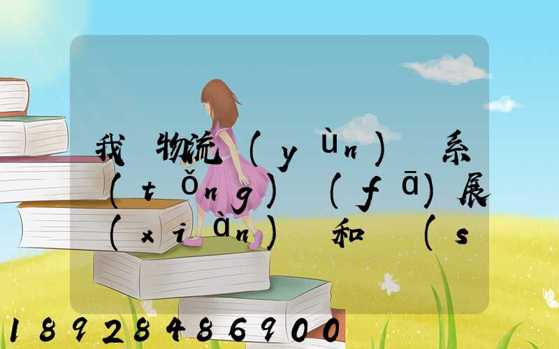 我國物流運(yùn)輸系統(tǒng)發(fā)展現(xiàn)狀和趨勢(shì)