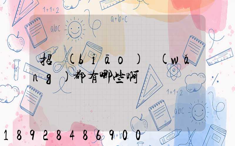 招標(biāo)網(wǎng)都有哪些啊