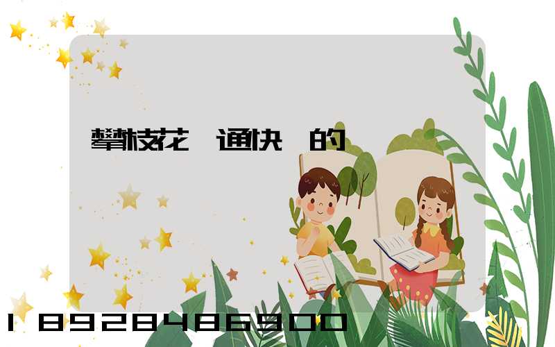 攀枝花圓通快遞的電話號碼