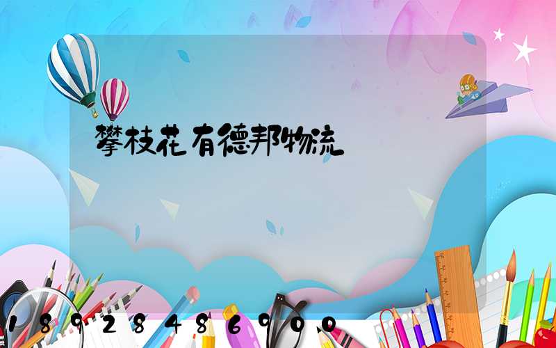 攀枝花有德邦物流嗎