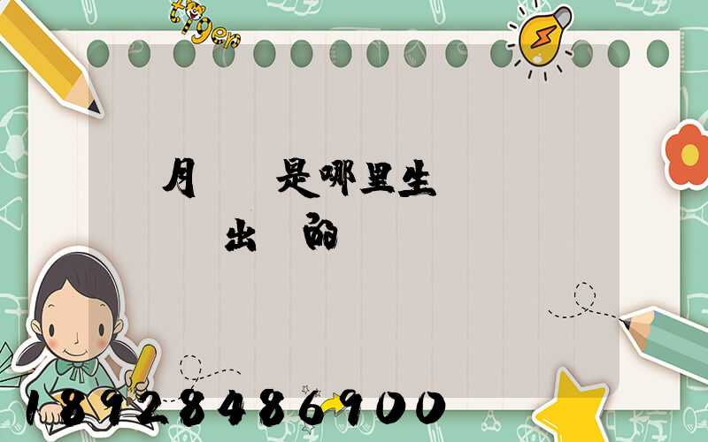 攬月貓糧是哪里生產(chǎn)出來的