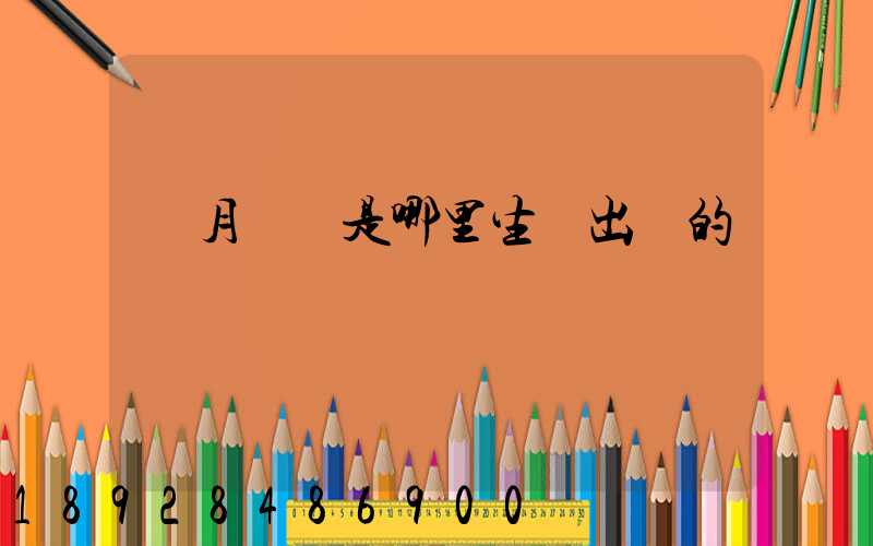 攬月貓糧是哪里生產出來的