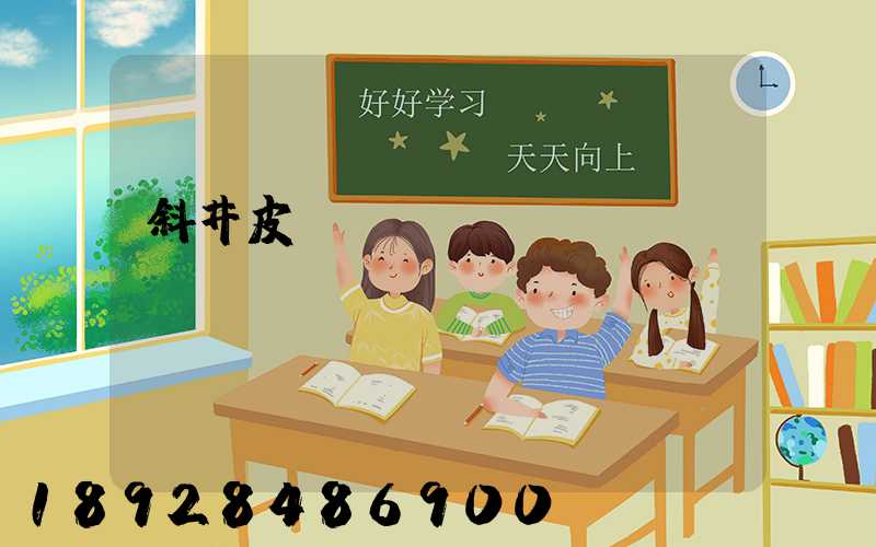 斜井皮帶運(yùn)輸機(jī)設(shè)計(jì)