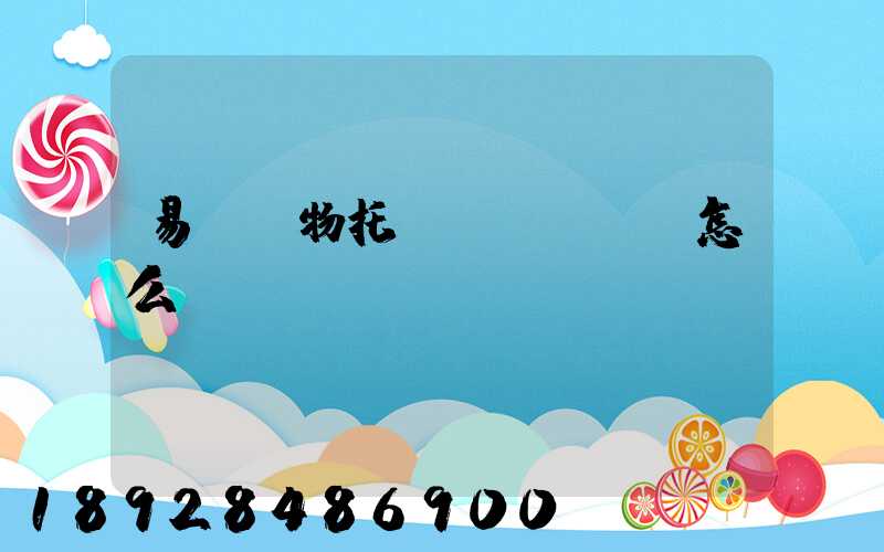 易豐寵物托運(yùn)怎么樣