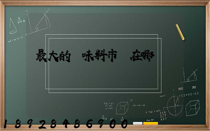 最大的調味料市場在哪