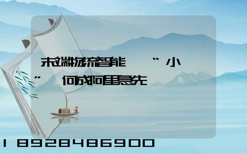 末端物流智能戰,“小蠻驢”憑何成阿里急先鋒