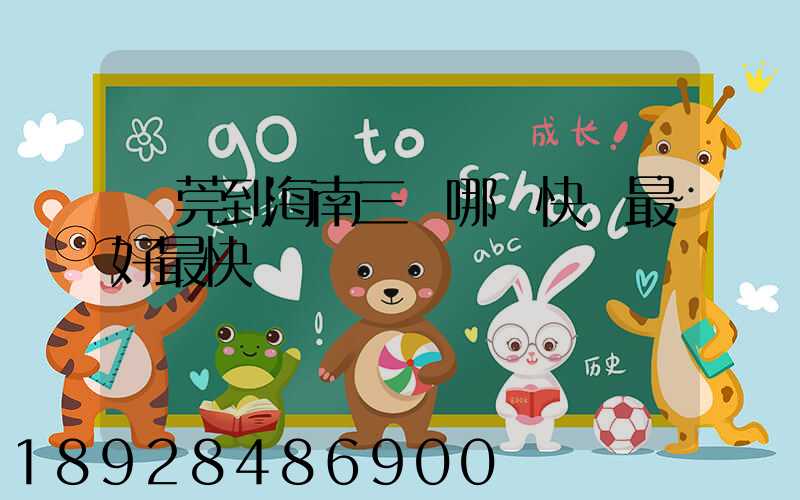 東莞到海南三亞哪個快遞最好最快