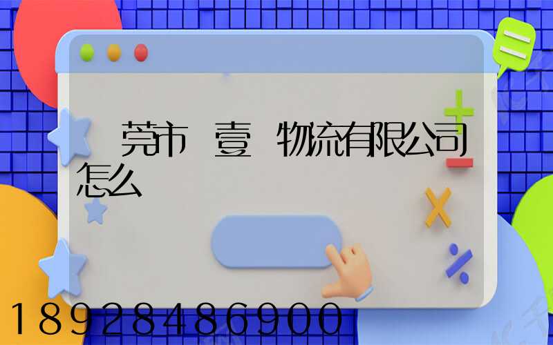 東莞市來壹來物流有限公司怎么樣