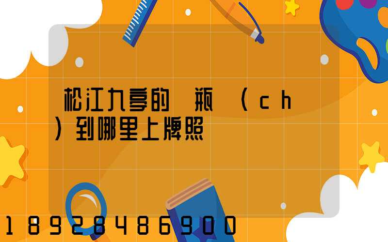 松江九亭的電瓶車(chē)到哪里上牌照