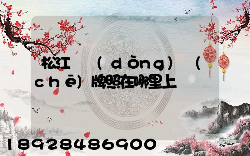 松江電動(dòng)車(chē)牌照在哪里上