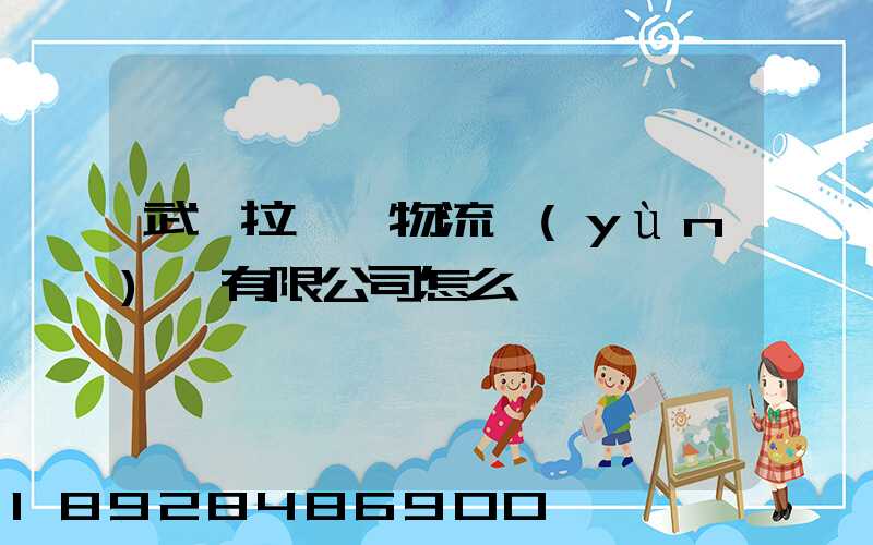 武漢拉貨幫物流運(yùn)輸有限公司怎么樣