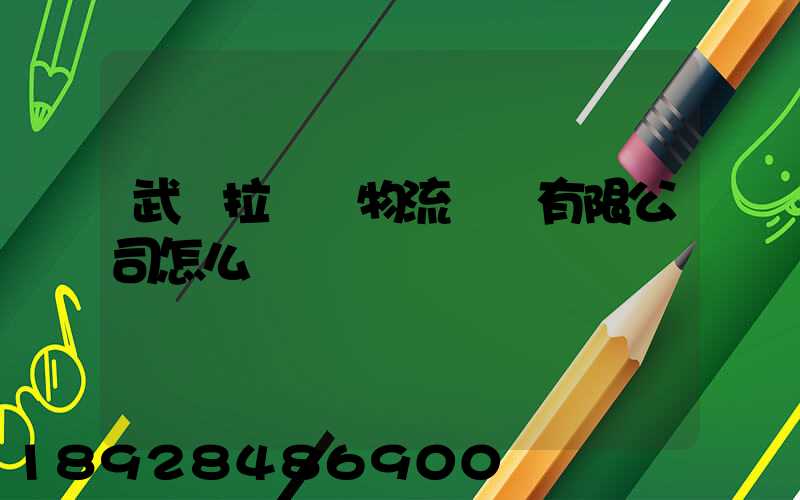 武漢拉貨幫物流運輸有限公司怎么樣