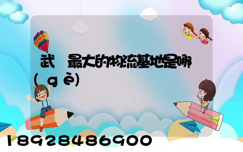 武漢最大的物流基地是哪個(gè)
