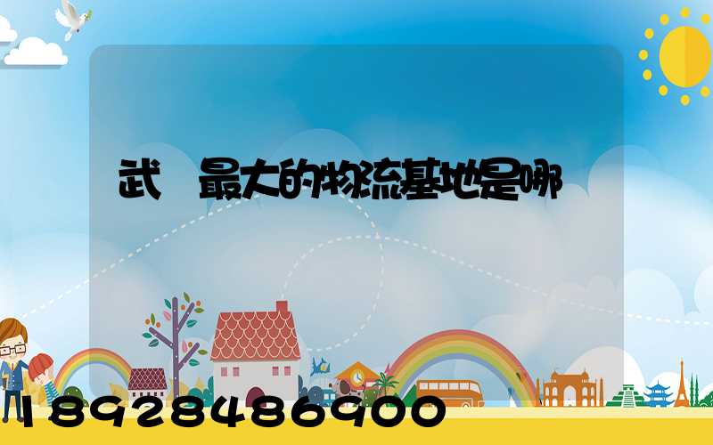 武漢最大的物流基地是哪個