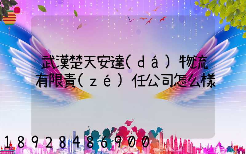 武漢楚天安達(dá)物流有限責(zé)任公司怎么樣