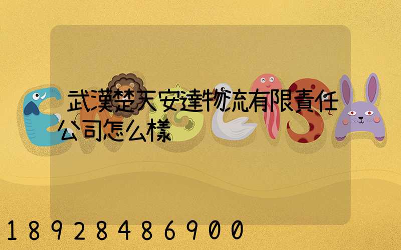 武漢楚天安達物流有限責任公司怎么樣