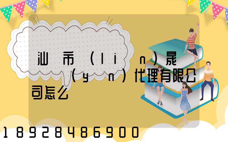 汕頭市聯(lián)晟國際貨運(yùn)代理有限公司怎么樣