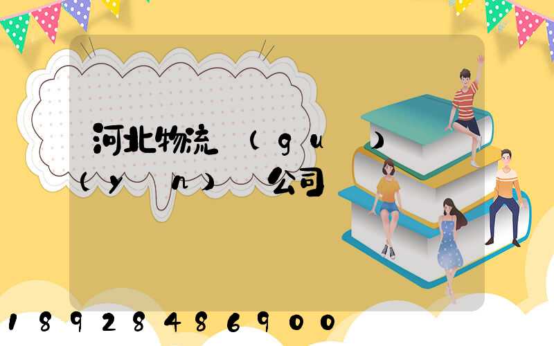 河北物流國(guó)際運(yùn)輸公司