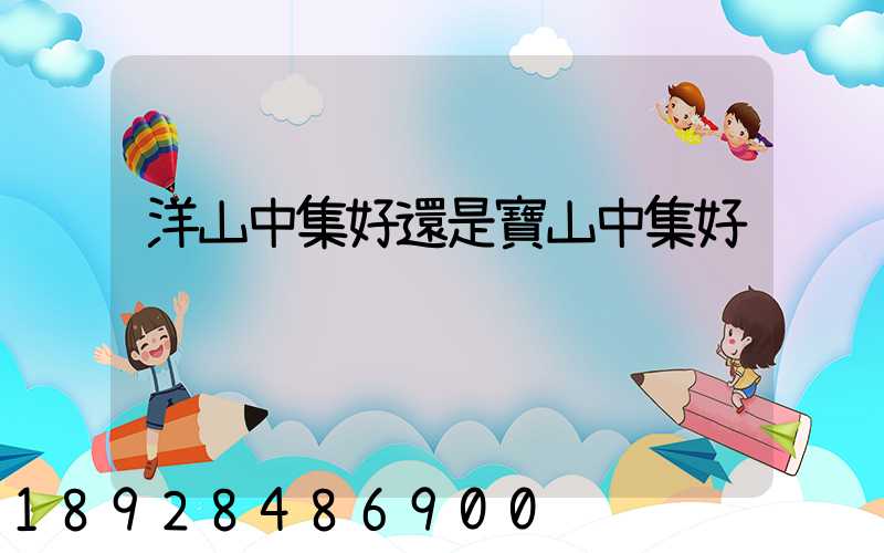 洋山中集好還是寶山中集好