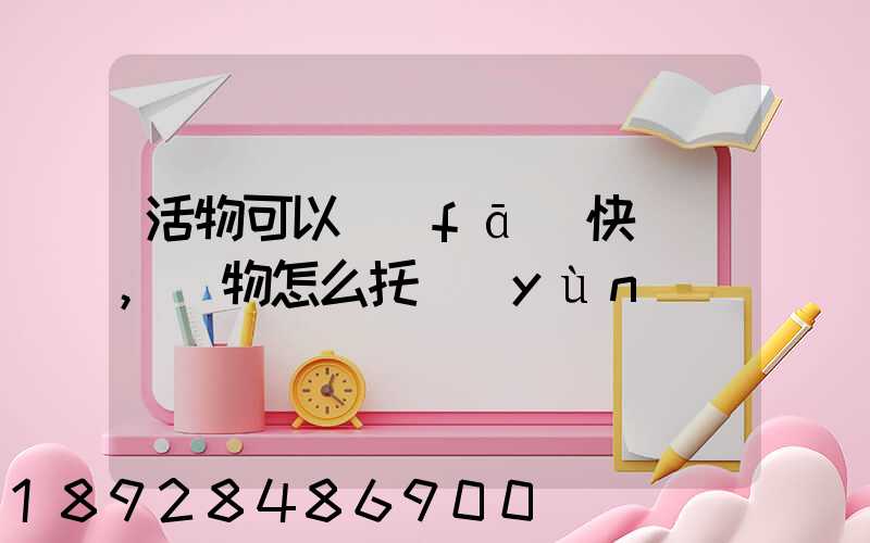 活物可以發(fā)快遞嗎,寵物怎么托運(yùn)