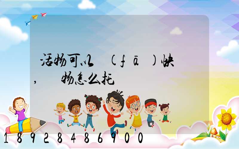 活物可以發(fā)快遞嗎,寵物怎么托運