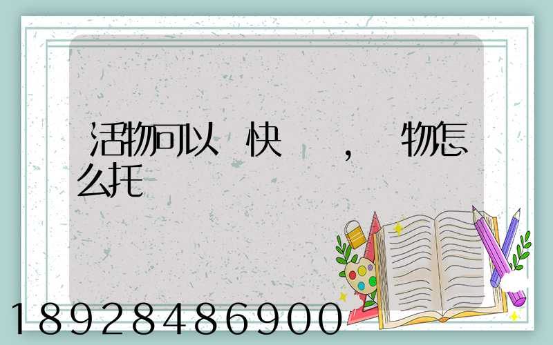 活物可以發快遞嗎,寵物怎么托運