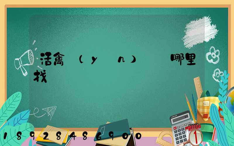 活禽運(yùn)輸車哪里找