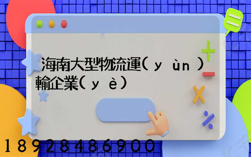 海南大型物流運(yùn)輸企業(yè)