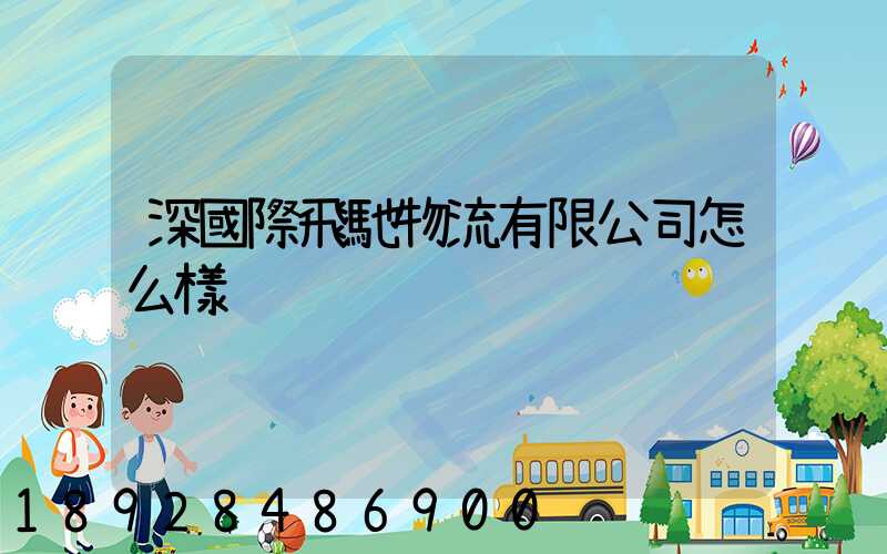 深國際飛馳物流有限公司怎么樣