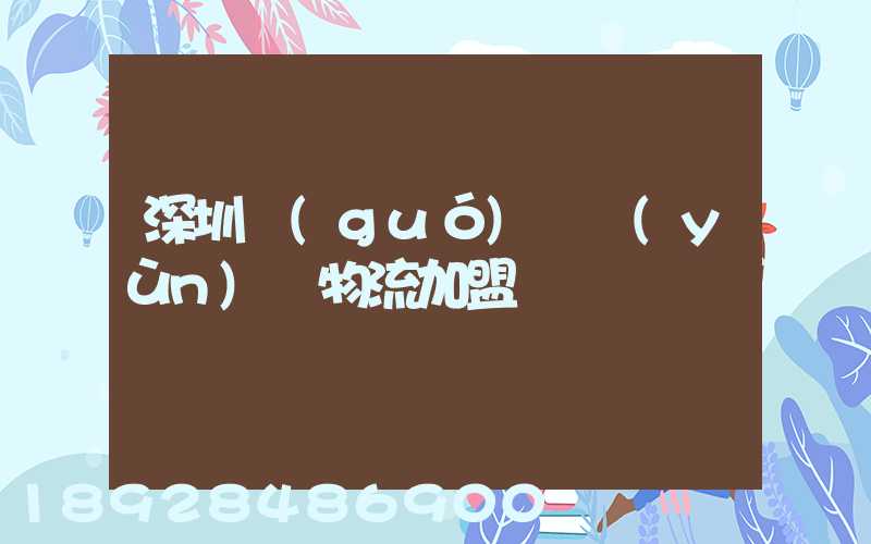 深圳國(guó)際運(yùn)輸物流加盟