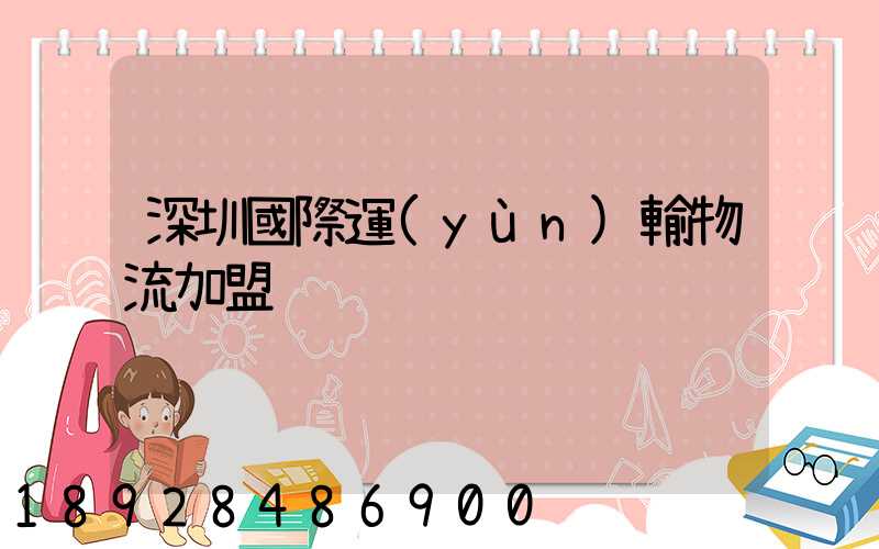 深圳國際運(yùn)輸物流加盟