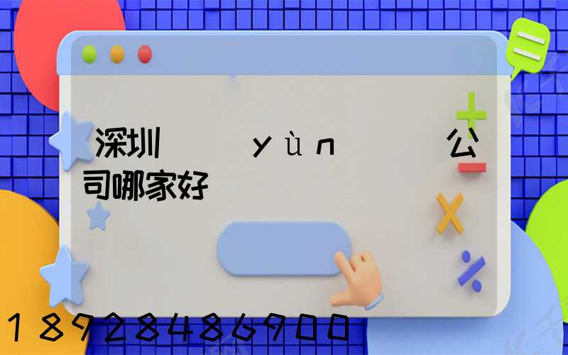 深圳貨運(yùn)專線公司哪家好